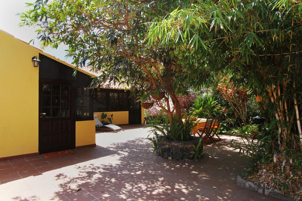 Casa Rural Los Aromos - Wunderschones Landhaus Mit Meerblick Hermigua Dış mekan fotoğraf
